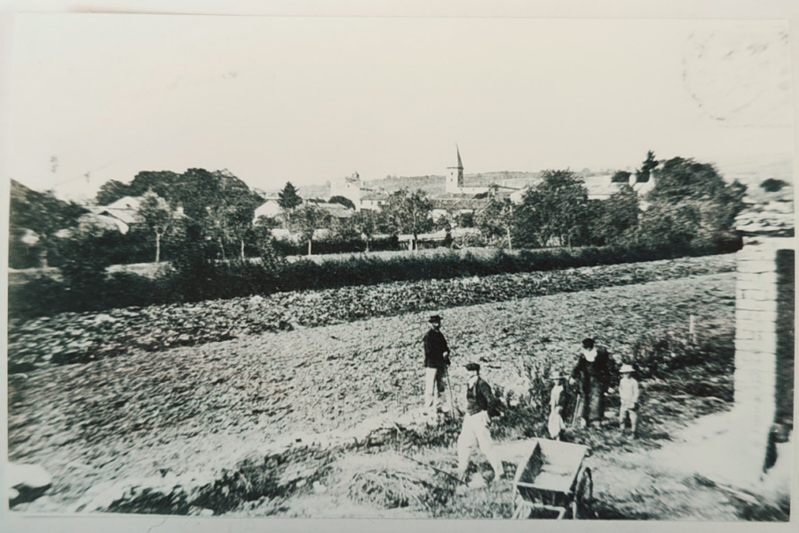 Capture d'écran 2026-05-19 184445