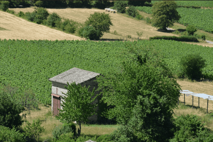 Capture d'écran 2026-07-14 183241
